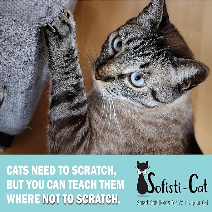 Sofisti-Cat Training Tape, Cat Tape for Furniture, Scratch Deterrent Keep Cats from Scratching Furniture with Our Double -Sided Repellent, 2.5" x 15' Roll
