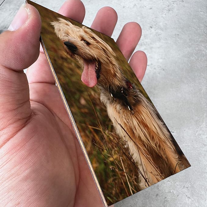 Personalized Wooden Rotating Pet Picture Frame for 4x6 Photo, Memorial Gift for Loss of Dog Cat, Rainbow Bridge Pet Hair Keepsake Fur Jar, In Loving Sympathy Pet Frame, Animal Loss Gift Passed Away