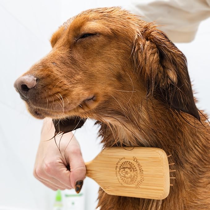 Doggy Style Small Bamboo Dog Brush, Deshedding, Grooming, All Natural, Hair Brush