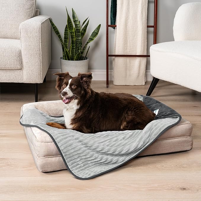PetAmi Waterproof Dog Blanket, Leakproof Pet Blanket for Small Medium Large Dog, Reversible Furniture Bed Sofa Couch Cover Protector, Soft Striped Pet Throw for Indoor Cat, 60x80 in, Grey Light Gray
