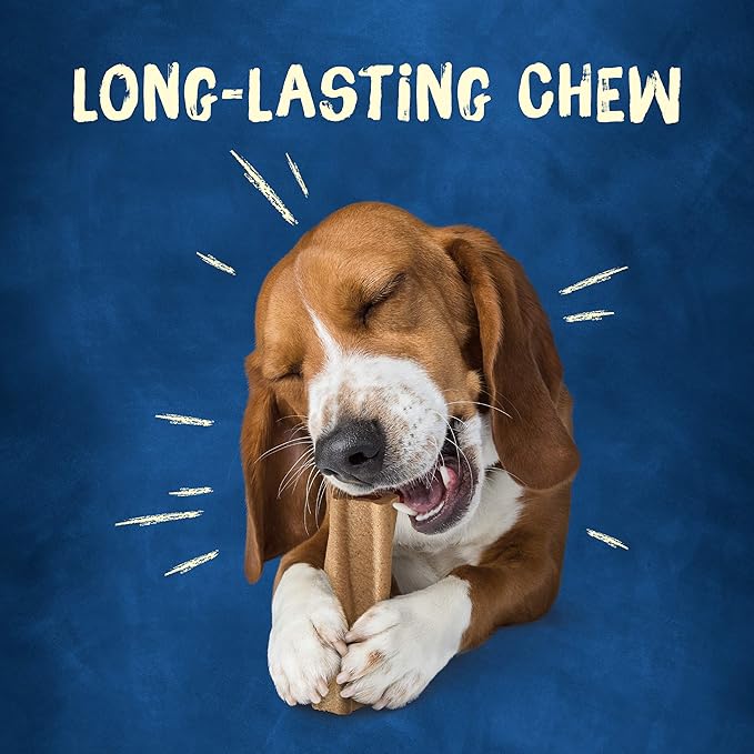 Purina Busy Bone Adult Dog Chew Bone Treats, Original - 10 ct. Pouch