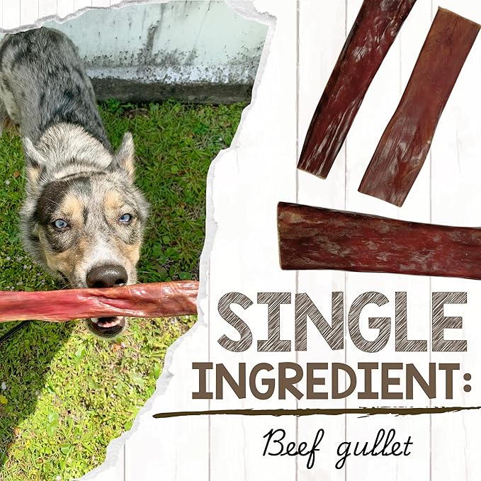 Nature Gnaws Beef Gullet Chews for Large Dogs 9-10" (20 Count) - Natural Beef Jerky Stick Dog Chew Treats - Rawhide Free