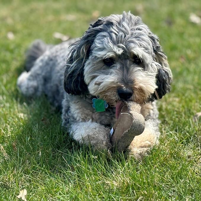 SPOT Dura-Fused Chunkies- Bone - All Natural Leather and Felt Dog Toy- Durable, Long Lasting, Extra Thick Dog Chew Toy for Aggressive Chewers, Great for Adult Dogs and Teething Puppies, 6in