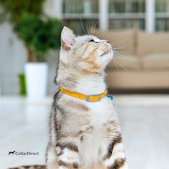 CollarDirect Leather Cat Collar with Removable Bell – Safety Elastic Strap (Breakaway Alternative) – Kitten Collar for Small & Big Boy & Girl Cats