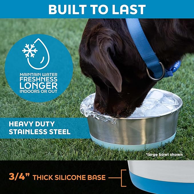 Master Pet Supply Stainless Steel Dog Bowls Set of 2 with Extra Thick Silicone Base - 2 Cup (16 oz) Hyper Pink, Non-Slip, Dishwasher Safe Metal Bowls, Pet Dog Food Bowl for Dogs, Cats, Anti Rust