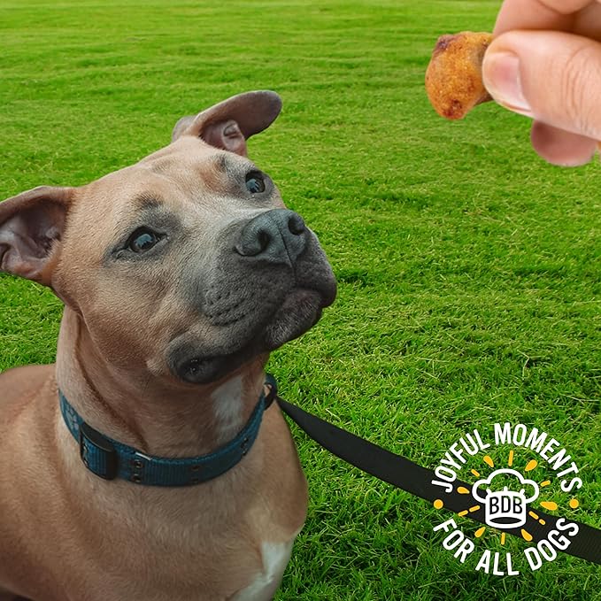 Blue Dog Bakery Protein Nuggets Snack | Small, Soft & Chewy Chicken & Apple Flavor | Natural Healthy Dog Treats, 6 oz (Pack of 8)