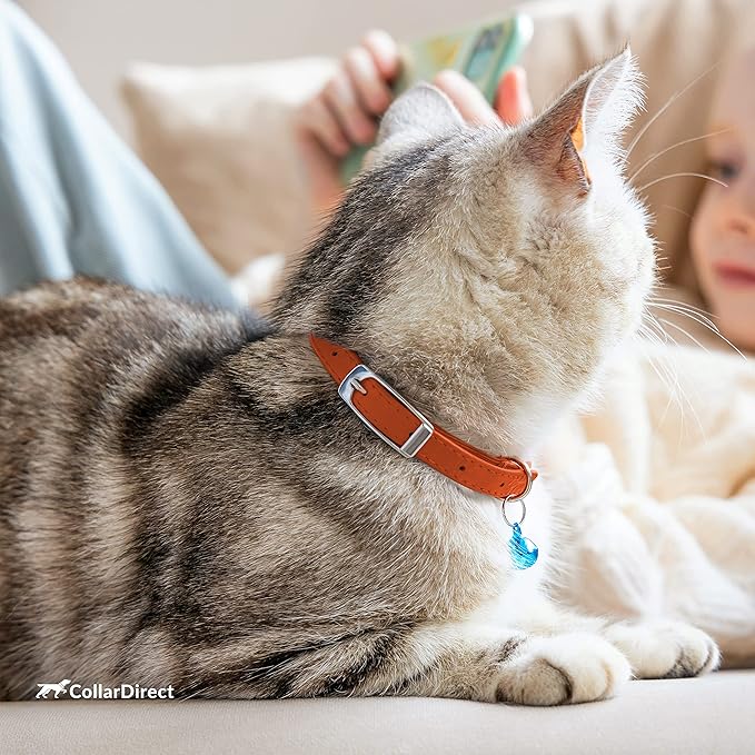 CollarDirect Leather Cat Collar with Removable Bell – Safety Elastic Strap (Breakaway Alternative) – Kitten Collar for Small & Big Boy & Girl Cats