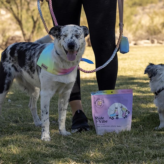Bundle x Joy Ride & Vibe Salmon Jerky for Dogs - 16 Oz Bag, Natural Superfood - Corn, Poultry, Soy & Grain Free Salmon Dog Treats Made in USA Only