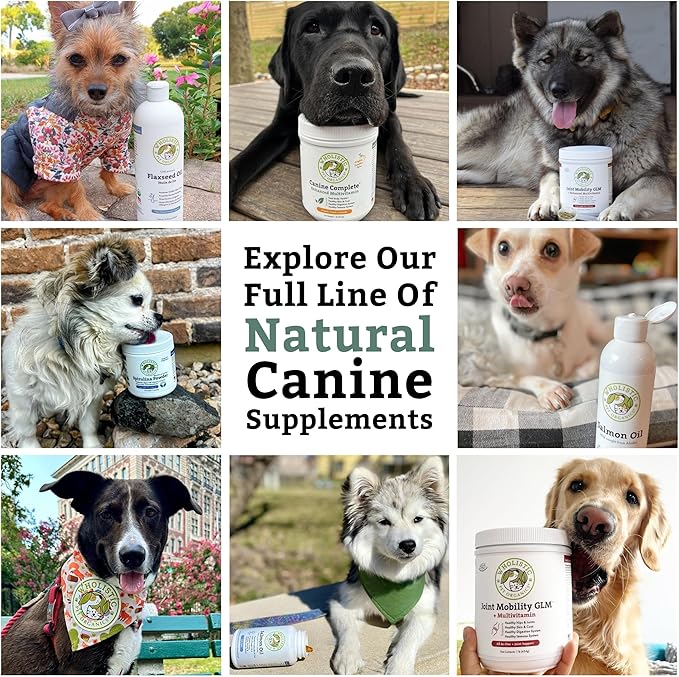 Wholistic Pet Organics Canine Complete - Dog Multivitamin Powder - 1 Lb - Daily Dog Vitamins and Supplements for Homemade Food - Immune System, Skin, Coat & Overall Health - All Breeds - 45 Scoops