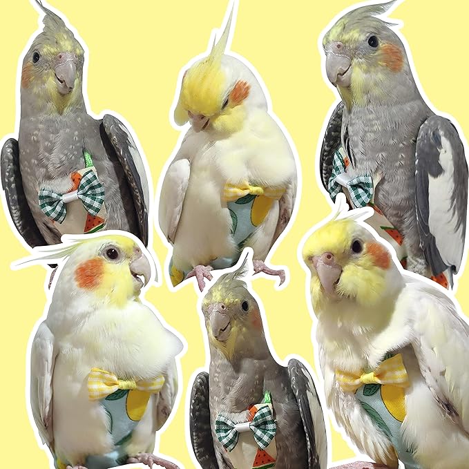 VANFAVORI Bird Diaper Harness Flight Suit Clothes with 80 Inch Flying Leash Rope for Parrots Conure Cockatiel Pet Birds Weight 80-105 Grams, M Size Denim, Including A Cotton Pad