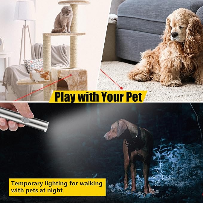 FYNIGO 2 Pcs Interactive Cat Toys for Indoor Cats | 2 Modes & AA Battery Classic Type | Cat Toys for Bored Indoor Adult Cats Dogs Kittens Chase Exercise