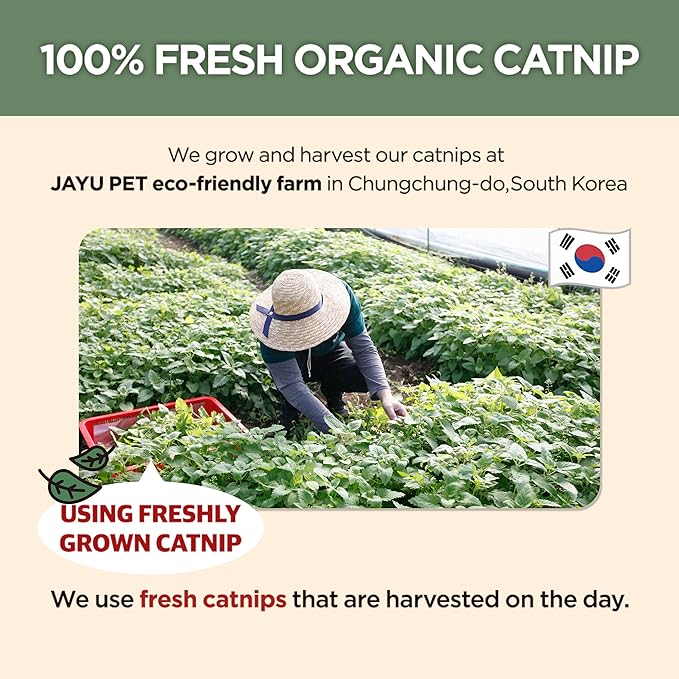 JAYU PET Active Catnip Spray (1 fl.oz) Active Catnip Powder (0.5oz) - Potent Fresh Leaves or Liquid for Entertaining Cats, Reducing Stress & Anxiety, Reviving Old Toys (Spray+Catnip)