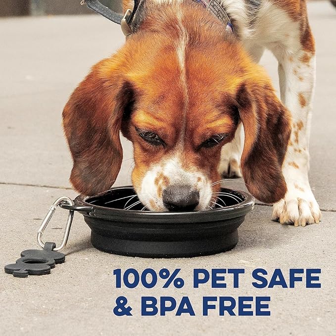 Bonza Collapsible Dog Bowls - Small 12 oz, Dog Travel Accessories, Silicone Portable Dogs Bowl & Water Dish with Reinforced Rim & Carabiner for Hiking, Camping, and Car Trips, Black
