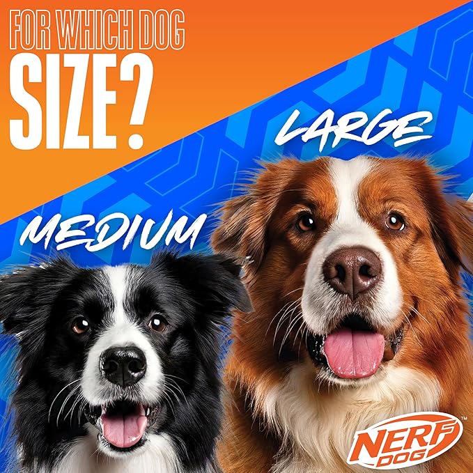 Nerf Dog Large Nylon Launching Duck/Blue/Green