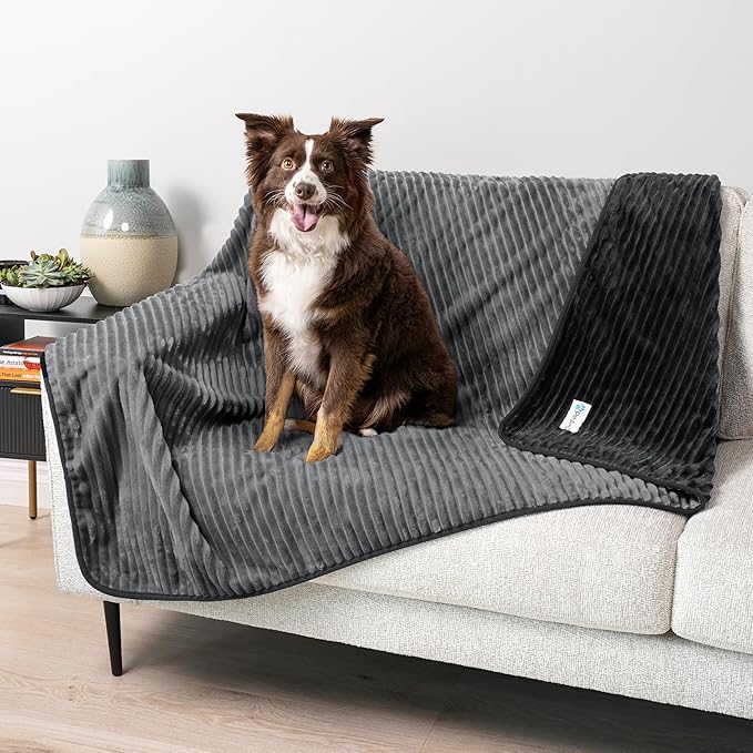 PetAmi Waterproof Dog Blanket, Leakproof Pet Blanket for Small Medium Large Dogs, Reversible Furniture Bed Sofa Couch Cover Protector, Plush Striped Pet Throw for Indoor Cat, 60x80 in, Black Grey