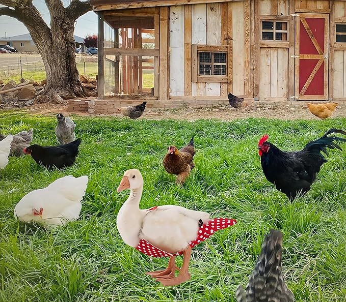 2 Pack Chicken Diapers for Hens, Roosters, Diapers for Ducks, Ducklings, Reusable Pet Diaper with Bow Ties Waterproof Poultry Nappies for Geese Pet Ducks,Red Polka Dots&Banana,L