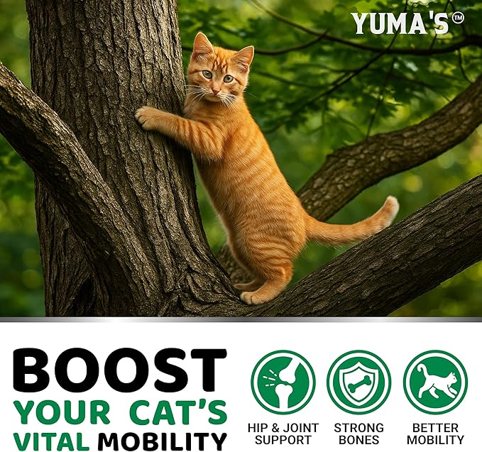 Cat Hip and Joint Health Supplement Chews – Advanced Glucosamine for Cats – MSM, Chondroitin & Omega-3 Salmon Oil – Supports Mobility, Joint Pain Relief, Cat Vitamins for Indoor & Outdoor Cats