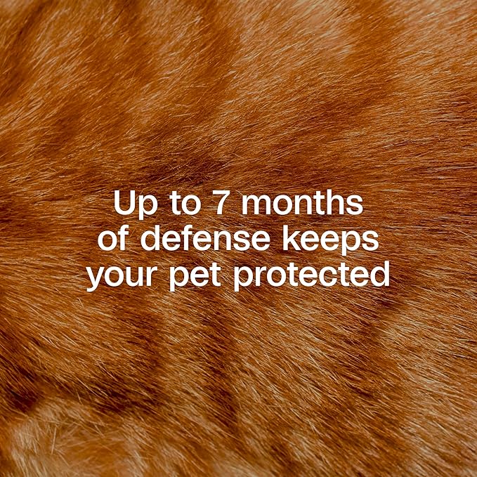 ADAMS Plus Flea & Tick Collar for Cats, Flea Collar for 7-Month Prevention, Adjustable Collar Fits Cats & Kittens, Kills Fleas & Ticks, 1 Count