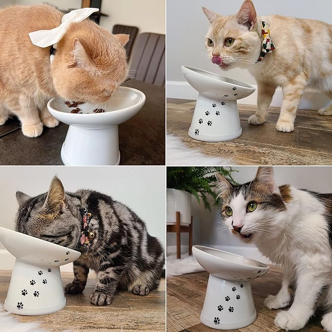 Necoichi Raised Cat Food Bowl – Ceramic Elevated 15° Tilted Cat Bowl for Whisker & Neck Fatigue, Dishwasher Microwave Safe Non-Slip Anti Vomiting Ergonomic Design (Extra Wide Tilted, 1.5-Cup Capacity)