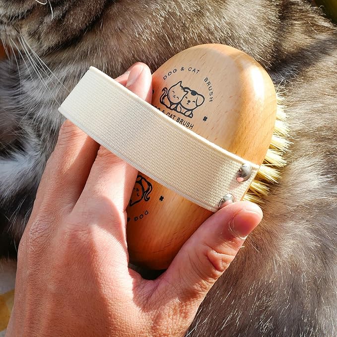 Soft Dog Brush, Pets Palm Brush for Dog and Cat Grooming - Bristle Brush for Dogs Short Haired - Soft Bristle Dog Brush Handheld - Ideal for Small Dogs Daily Gentle Grooming Brush (Beechwood)