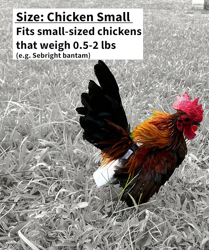 Chicken Diapers Duck Diaper Diaperalls for Hens, Roosters, Ducks, Ducklings - Reusable, Adjustable by Uni Infinity (Lavender Polka Dots, Chicken Small, 1, Count)