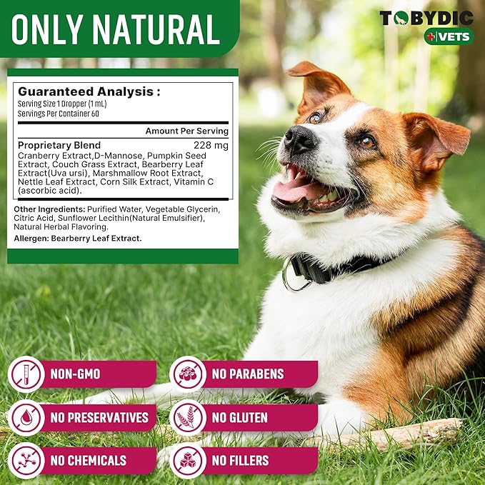 Cat & Dog Natural UTI Support & Urinary Tract Infection Treatment with Cranberry - Kidney + Bladder Support Supplement - Best for Urine Incontinence - Pet Renal Health (2 Pack (60ml + 60 ml))