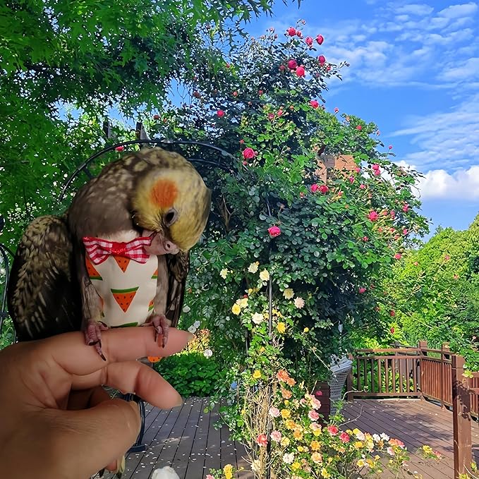 6Pcs Bird Diapers Bird Harness Flight Suits Diapers Reusable Parrot Nappy with Waterproof Inner Layer Washable Cute Urine Wet Suit Costume for Cockatiel Conure Budgie Macaw Parakeet,L