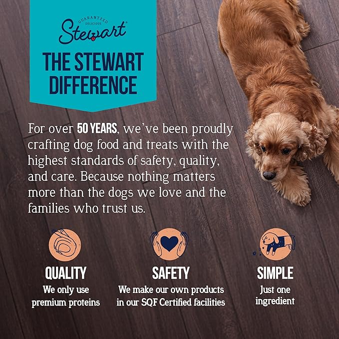 Stewart 100% Wild Salmon Dog Treats, 9.5 oz Tub, ~190 Pieces, Freeze Dried Raw, Single Ingredient, 65% Protein Training Treats or Meal Topper, Grain Free, Gluten Free