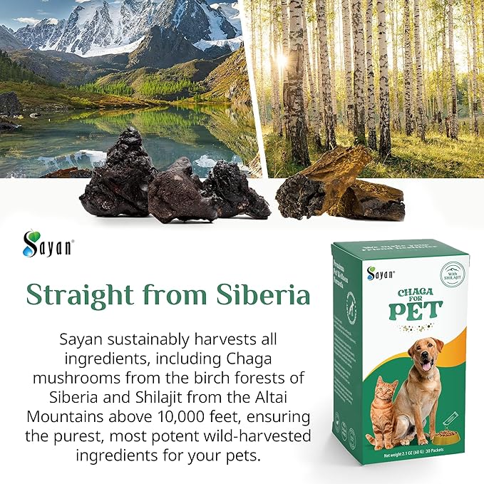Sayan Chaga + Shilajit Pet Supplement (30 Sachets) – All-Natural Adaptogen Blend for Dogs & Cats – Immune, Joint, Energy & Digestive Support – Herbal Blend – 100% GMO-Free, Vet-Formulated
