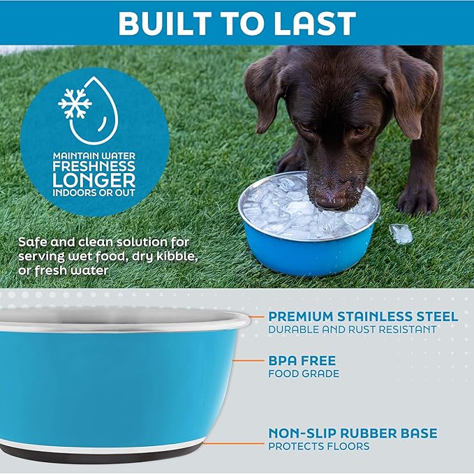 Master Pet Supply Stainless Steel Dog Bowls Set of 2 (16 Oz Each) with Non-Slip Rubber Base - Aqua Sky - Basic Dog Food Bowl Water & Food Bowls for Small Medium Large Dogs & Cats, Metal Dish