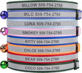 GoTags Personalized Reflective Cat Collars, Engraved Custom Cat Collar with Name and Phone ID, Breakaway Collar with Safety Release Buckle and Bell, Adjustable for Cats and Kitten (Lavender)