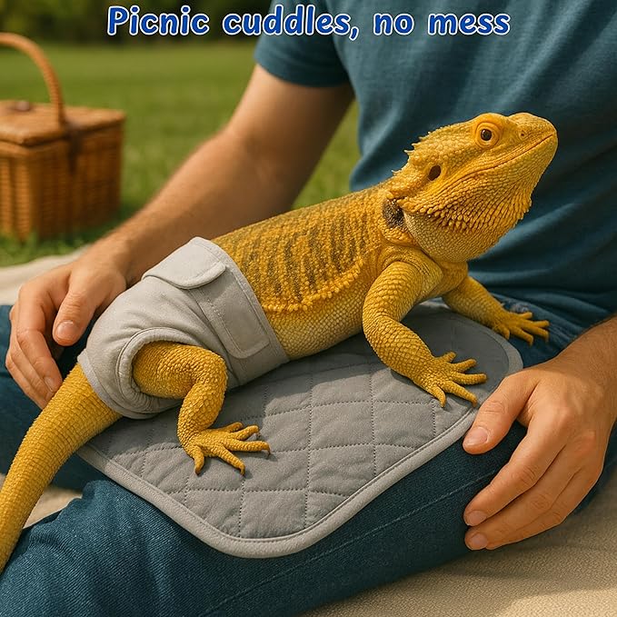 Bearded Dragon Diaper Accessories with Reusable Pad, Adjustable Wearable for Short Handling and Travel, Bearded Dragon Accessories, Reptile Travel Carrier Essentials (Grey)