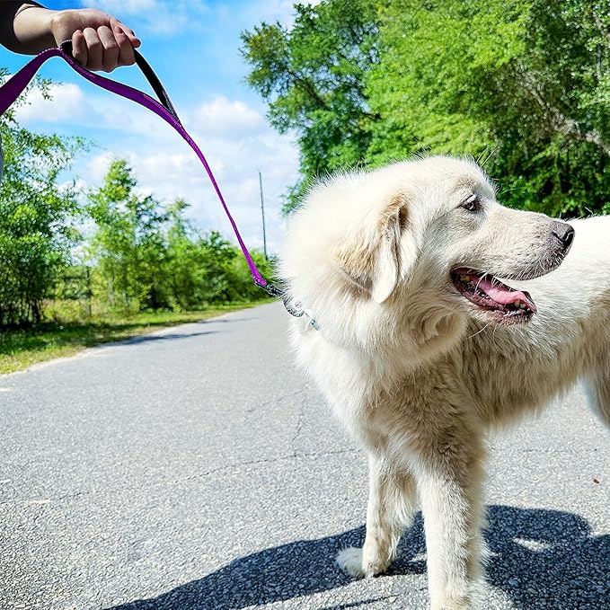 Joytale Dog Leash Heavy Duty for Large Dogs that Pull, Double Handle for Traffic Control, Double-Sided Reflective Leashes for Large Medium Dogs Night Safety, 4FT, Purple
