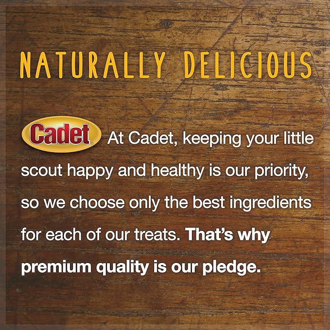 Cadet 100% Beef Strips Dog Chew Sticks,Long-Lasting -Ingredient Natural Treats,High-Protein,Perfect for Small & Large Breeds,12 oz,(Pack of 2)