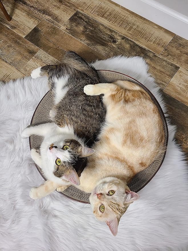 Necoichi Cat Scratcher Bowl for Indoor Cats - Cat Scratching Lounger with Reversible Usability and Extra Comfort for Lounge, Cardboard Bed Couch / (Regular, Dark Cherry)