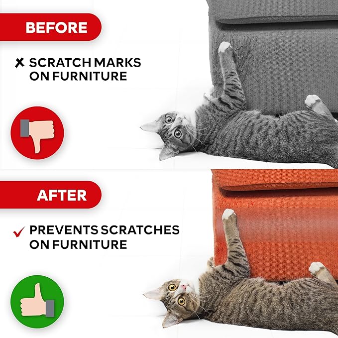 XFasten Anti-Scratch Cat Training Tape, Clear, 2.5-Inches x 15 Yards (Single Roll), Door, Couch, Furniture and Leather Scratch Guard Protector Tape for Cats and Pets
