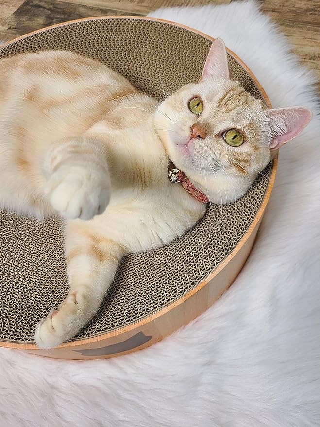 Necoichi Cat Scratcher Bowl for Indoor Cats - Cat Scratching Lounger with Reversible Usability and Extra Comfort for Lounge, Cardboard Bed Couch / (Regular, Oak)