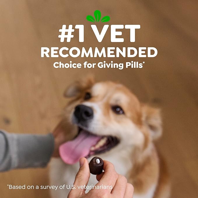 Greenies Pill Pockets for Dogs Large Size, Dog Treat Pouch for Capsule Medication, Chicken Flavor, 15.8 oz. Pouch