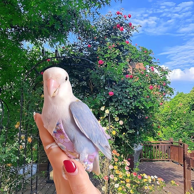 2Pcs Bird Diapers Bird Harness Flight Suits with 80in Flying Leash Reusable Parrot Nappy with Waterproof Inner Layer Urine Wet Suite for Cockatiel Budgie Conure Parakeet Lovebird-Red&Purple