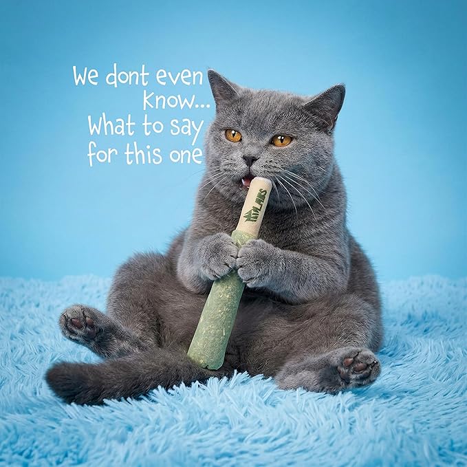 LIT LABS Cat Doobie 3 Pack Catnip Toys for Cats, Funny Cat Toys, Safe Kitten Teething Chew and Kicker Toys, Stress Relieving Indoor Cat Gifts that Hit Different