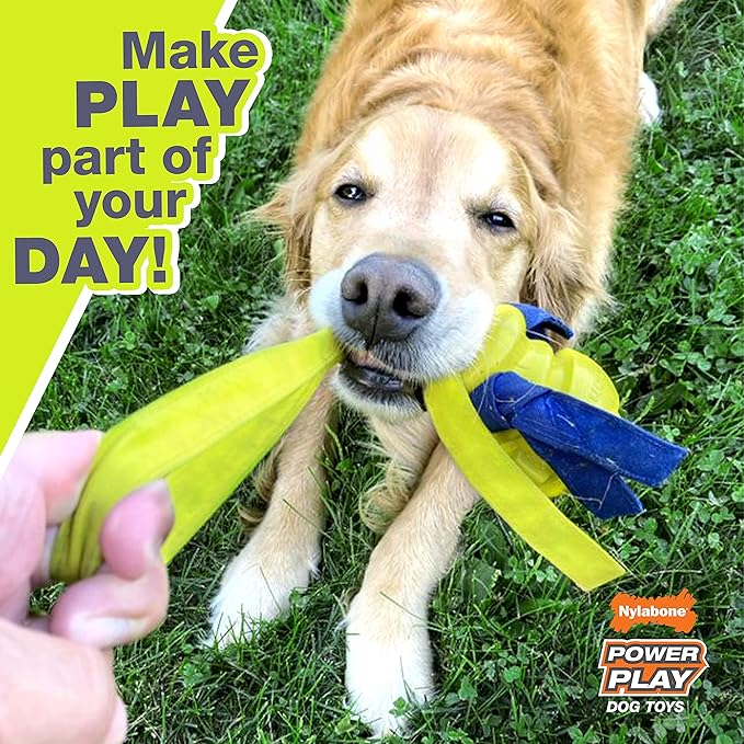 Nylabone Power Play Felt Football Gripz Fetch Toy, Squeaky Ball Chew Toy for Dogs, Medium (1 Count)