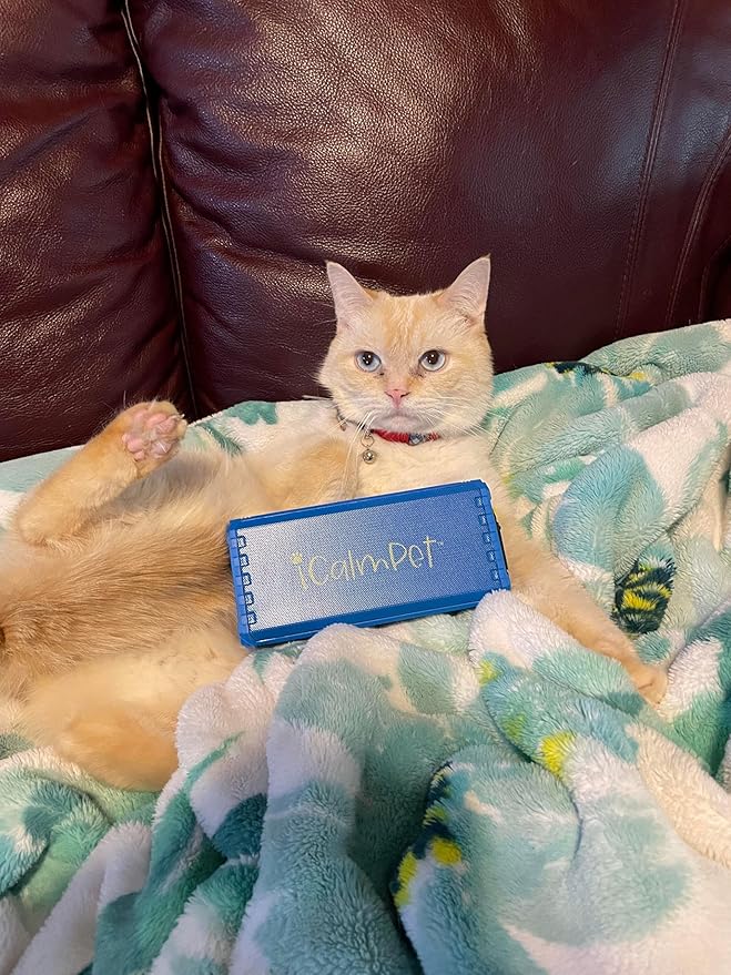 Cool Cat Gold Pak | iCalmPet Ruff 'n Ready Portable Speaker with 3-hr MicroSD Cat Calming Classical