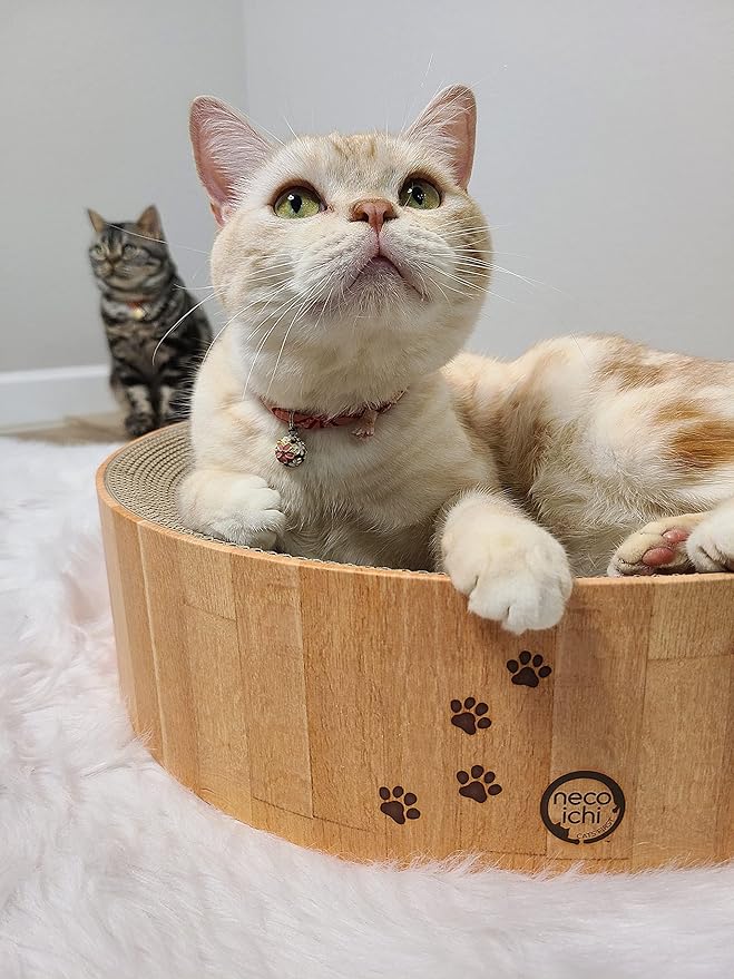 Necoichi Cat Scratcher Bowl for Indoor Cats - Cat Scratching Lounger with Reversible Usability and Extra Comfort for Lounge, Cardboard Bed Couch / (Regular, Oak)