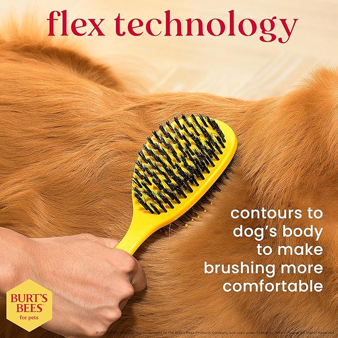 Burt's Bees for Pets Double Sided Brush for Large Dogs with Handle Made from Recycled Plastics Collected from Coastal Communities| 2-in-1 Dog Brush Removes Tangles While Smoothing Dog Fur