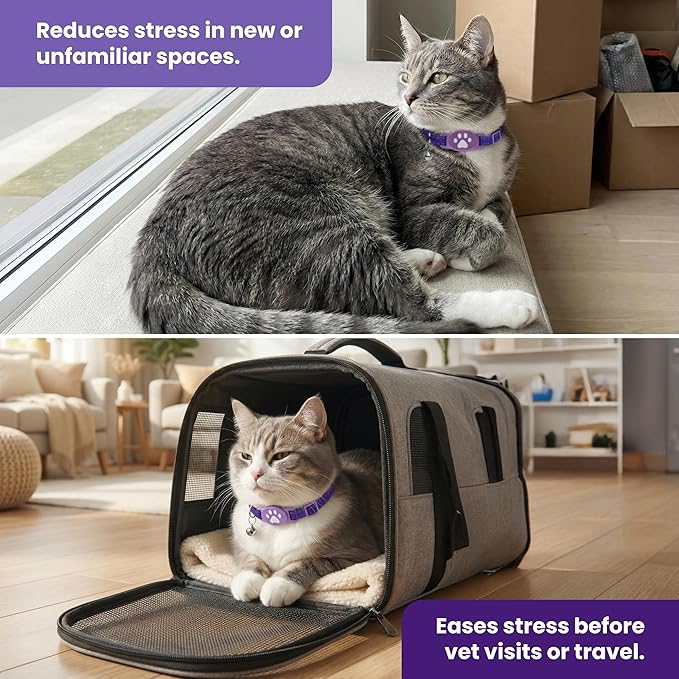 Breakaway Calming Collar for Cats - The Safest and Most Comfortable Pheromone System - Lasts Up to 60 Days - by Kitty Kompass