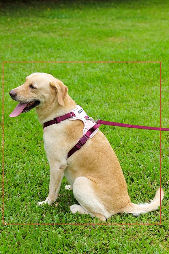 3 in 1 No Pull Dog Harness Leash and Collar Set, Soft Adjustable Dogs Vest Reflective and Comfortable Handle Pink Large