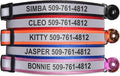 GoTags Reflective Cat Collar Personalized, Custom Cat Collar with Engraved Name and Phone Number, Safety Collar with Breakaway Release Buckle and Bell, Adjustable for Cats and Kitten 5 Colors