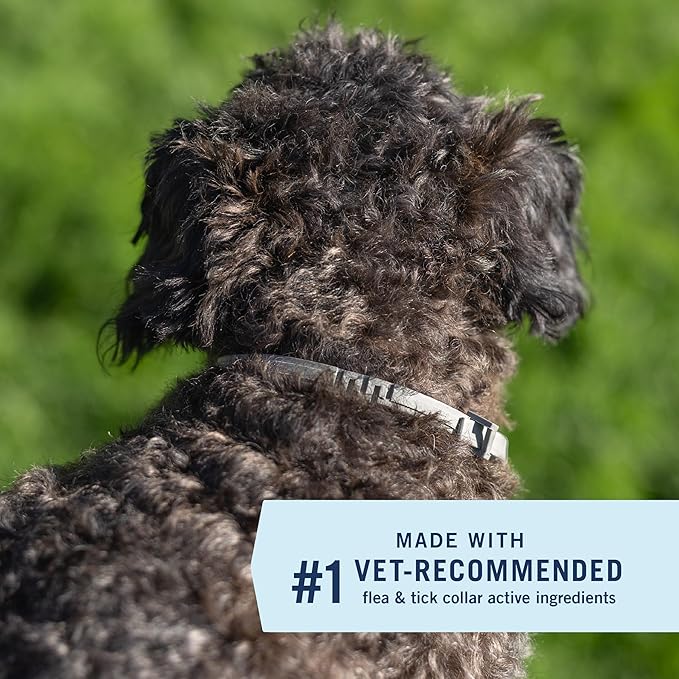 PetArmor Extend Flea & Tick Treatment & Prevention Collar for Small Dogs up to 18 lbs., 8 Months of Protection, Odorless & Non-Greasy, Waterproof, Kills Fleas, Ticks, and Flea Larvae, 1 Count