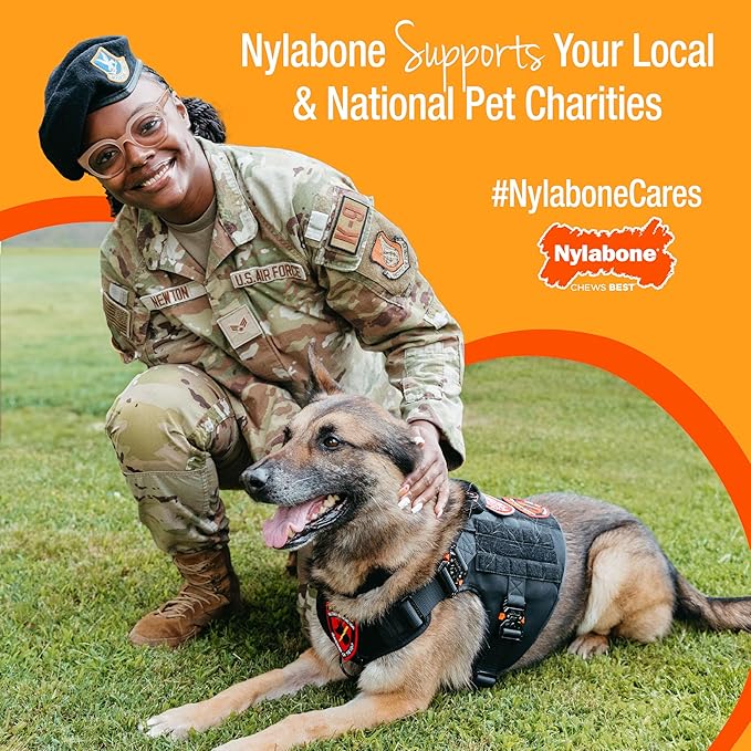 Nylabone Lobster Power Chew Toy for Dogs, Dog Toys for Aggressive Chewers, Filet Mignon Flavor, X-Large Dogs - 50+ lbs, 1 Count