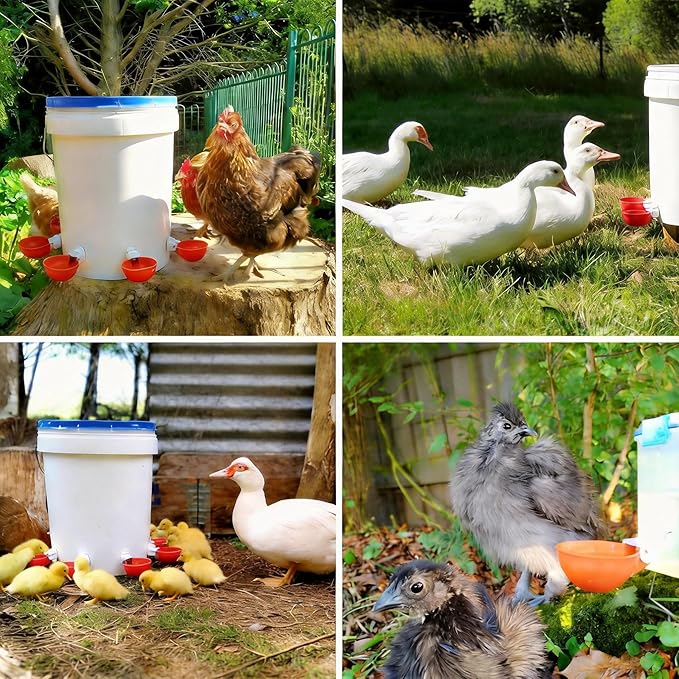 Chicken Feeder & Waterer Combo Kit – 8 Pack Total (4 Automatic Feeder Cups + 4 Waterer Dishes) for Buckets & Bins, No Waste Rainproof DIY System for Hens, Ducks & Other Poultry